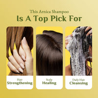 Richfeel Shampoo with Arnica 500 ml