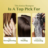 Richfeel Shampoo with Arnica 100 ml Pack of 4