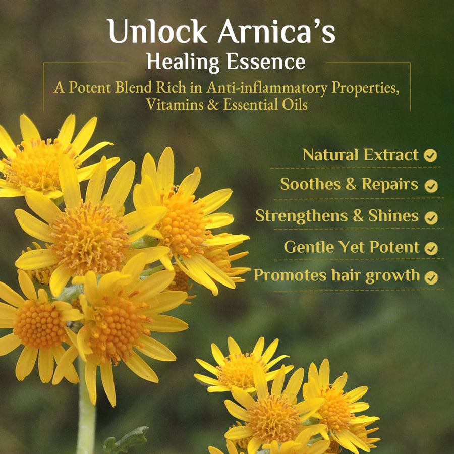 Richfeel Shampoo with Arnica 500 ml Pack of 2